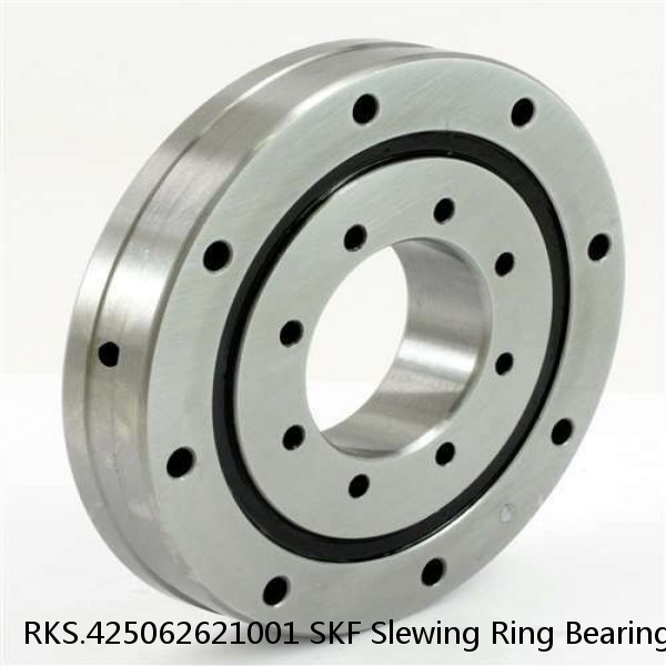 RKS.425062621001 SKF Slewing Ring Bearings #1 image