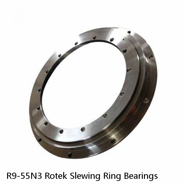 R9-55N3 Rotek Slewing Ring Bearings #1 image