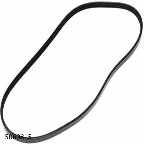 Dayco Main Drive Serpentine Belt 5060815 #1 image